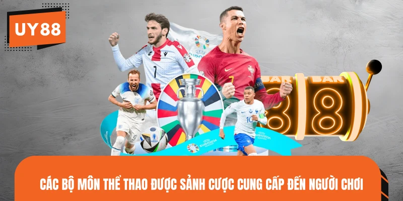 Các bộ môn thể thao được sảnh cược cung cấp đến người chơi