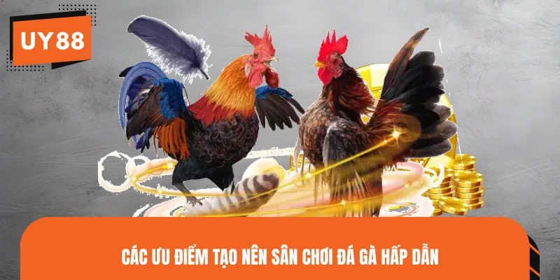 Các ưu điểm tạo nên sân chơi đá gà hấp dẫn