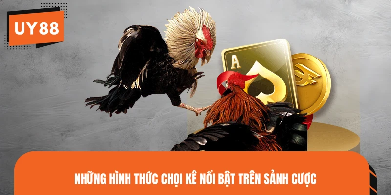 Những hình thức chọi kê nổi bật trên sảnh cược